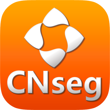 Logo CNseg
